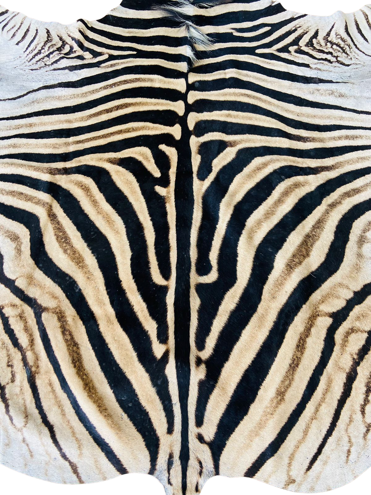 Close-up of a zebra skin pattern with black and beige stripes.