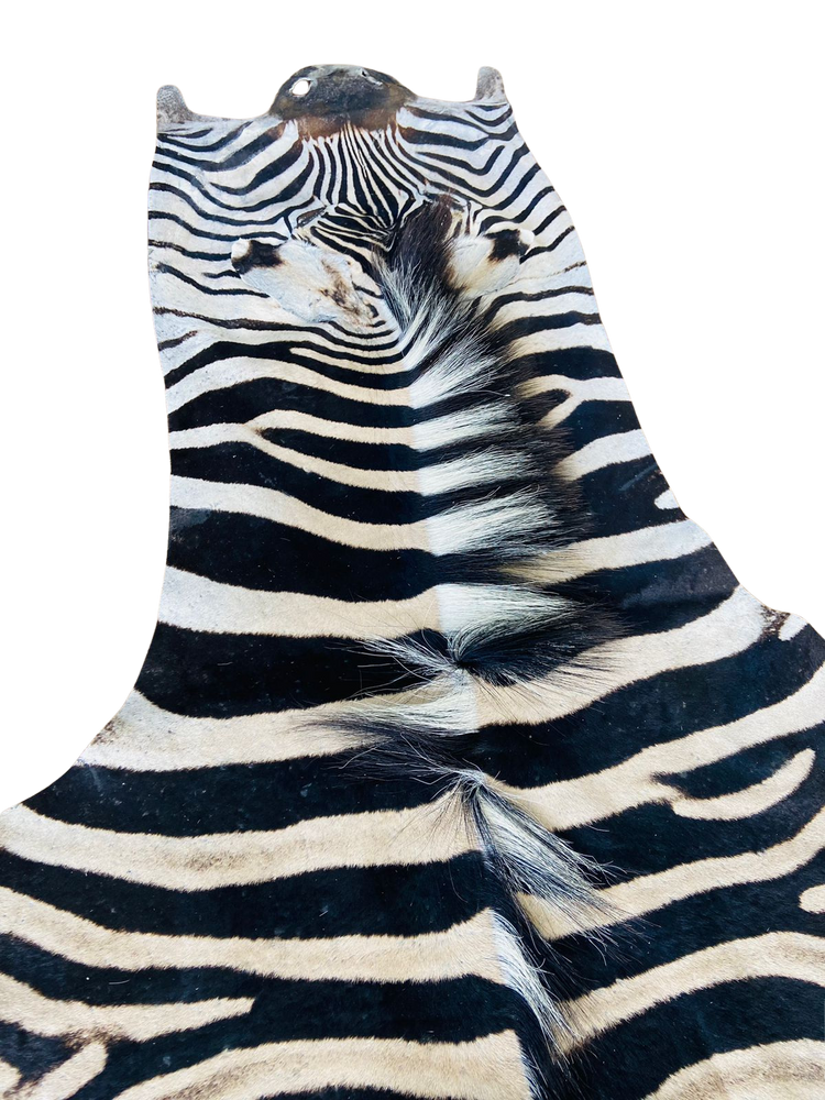 Zebra hide with black and white stripes
