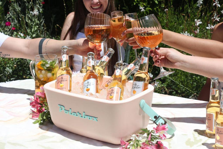 Keep It Cool and Stylish – Discover the Trendy Polarbox Range!