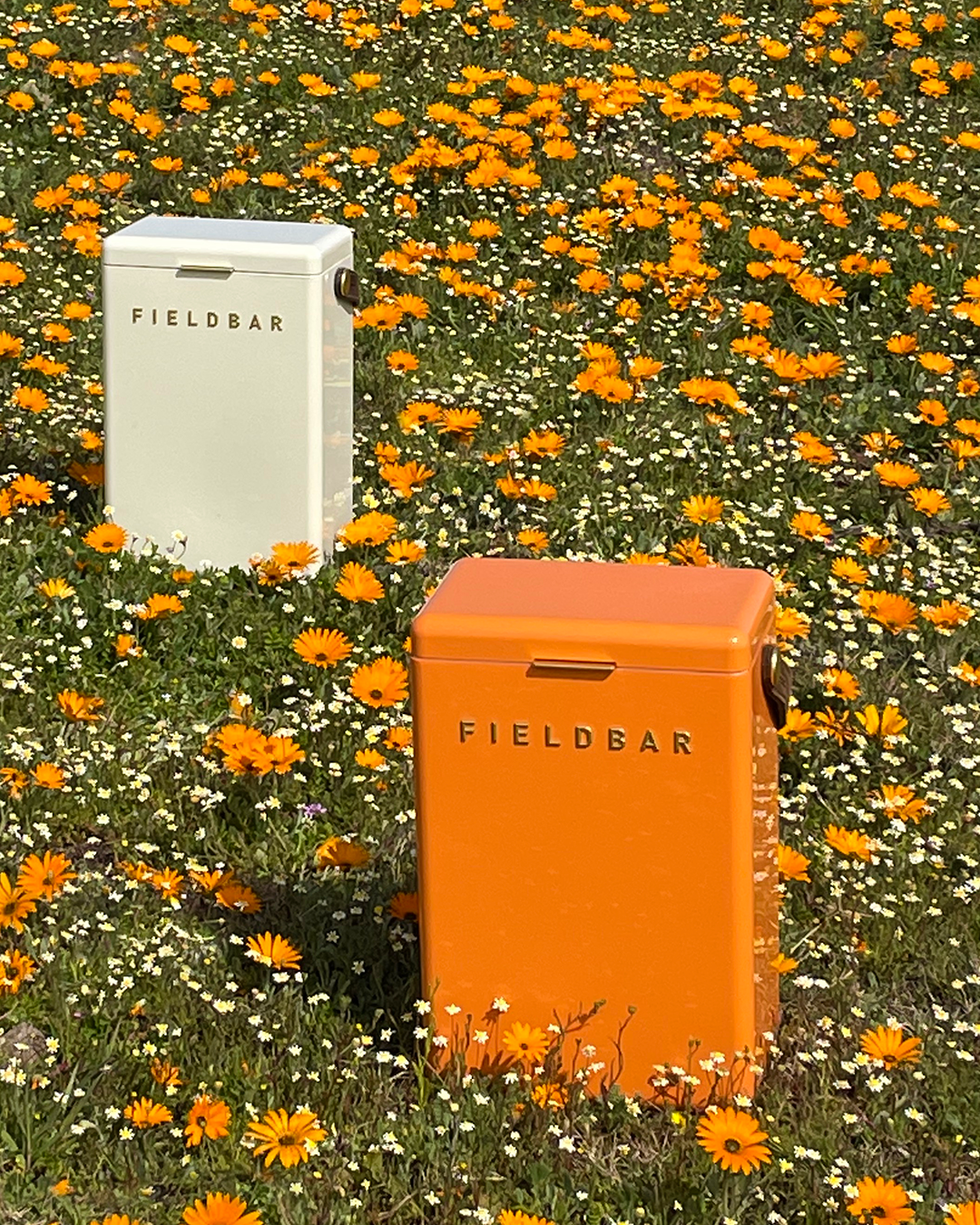 It's a Fieldbar Summer