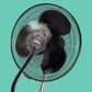 Salton 16-inch Mist Fan SMF03