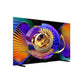 TCL 98-INCH C7L SQD-MINI LED GOOGLE TV 144HZ 98C7L