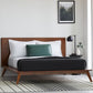 Malouf Green Z Zoned CBD Infused Memory Foam Pillow Queen MAL-ZZQQMPASZS