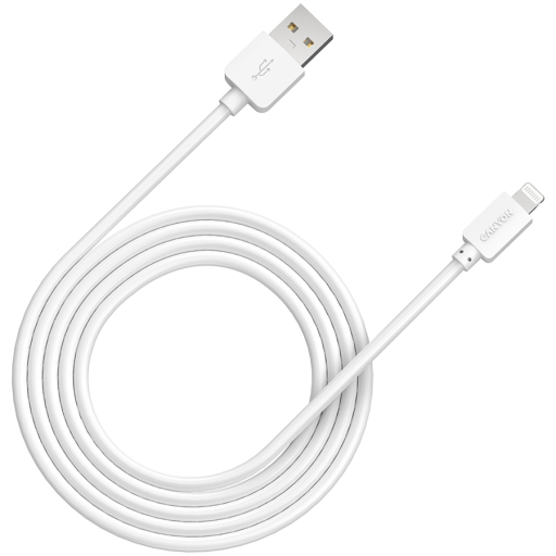 CANYON cable CFI-1  8-pin 5W 1m White