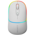 CANYON mouse MW-22 2in1 BT/ Wireless Snow White