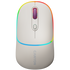 CANYON mouse MW-22 2in1 BT/ Wireless Rice