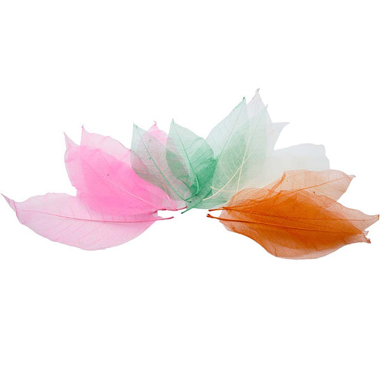 Anthony Peters - Skeleton Leaves - 20pcs
