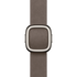 Apple 42mm Dark Taupe Modern Buckle - Large