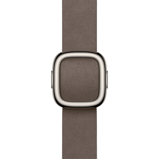 Apple 42mm Dark Taupe Modern Buckle - Medium