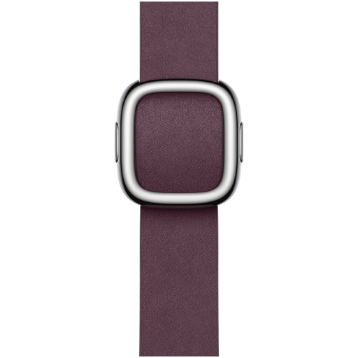 Apple 41mm Mulberry Modern Buckle - Large