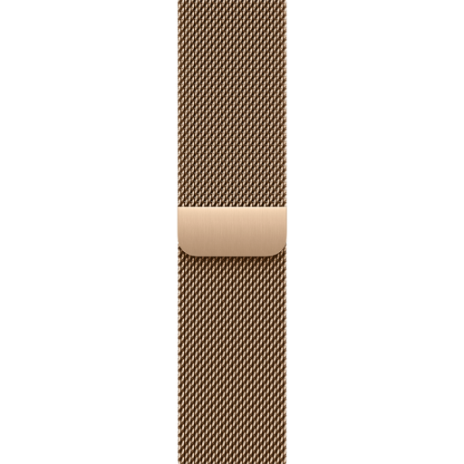 Apple 42mm Gold Milanese Loop