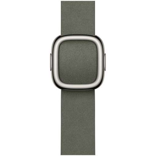 Apple 42mm Sage Gray Modern Buckle - Large