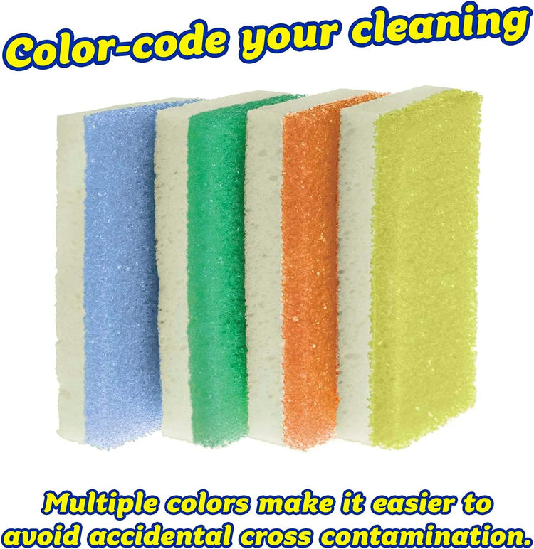 Sponge Daddy sponge showing scrubbing and absorbent layers