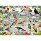 Gibsons - RSPB: Blissful Birds - 1000 Piece Jigsaw Puzzle