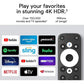 Dcolor Google & Netflix Certified 4K Google TV Dongle GD1