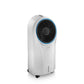 Delonghi Evaporative Cooler EV250.WH