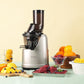 Kuvings Cold Press Juicer Silver B1700