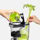 Kuvings Chef Commercial Slow Juicer/Cold Press CS600