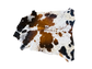 Nguni Brown and white Cow Hide Rug 2m X 167 m- TSH10118