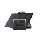 EcoFlow RIVER 2 Pro Portable Power Station - ZMR620-B-ZA