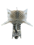 Zebra skin rug 