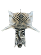 Zebra skin rug 