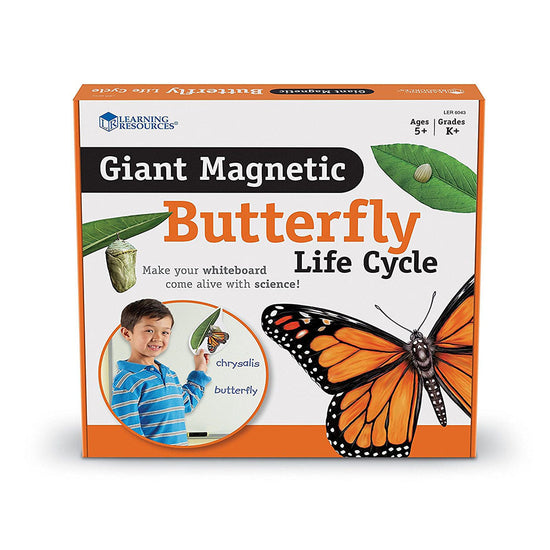 Learning Resources - Giant Magnetic - Butterfly Life Cycle