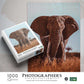 Ambassador - Photographers Collection 1000 Piece Puzzle - African Elephant