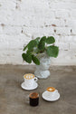 Delonghi Double Walled Long and Americano Coffee Mugs 250ml DLSC320