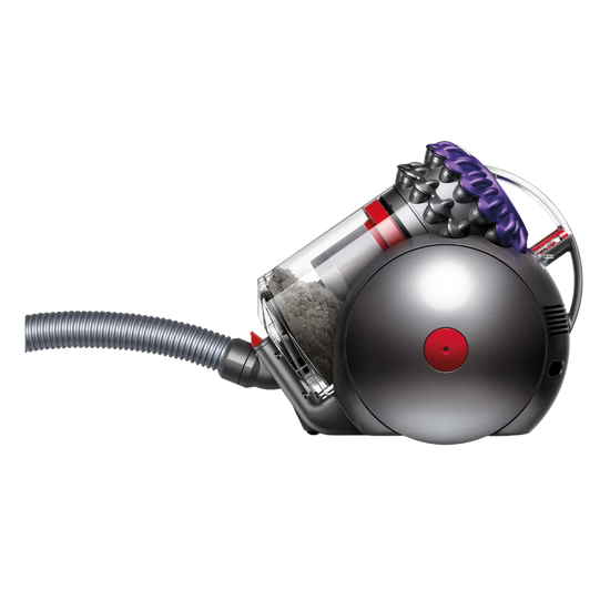 Dyson Big Ball Parquet 2 (Purple) CY28