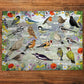 Gibsons - RSPB: Blissful Birds - 1000 Piece Jigsaw Puzzle
