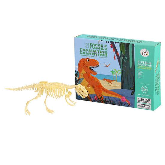 Jar Melﾃｳ - Fossils Excavation Kit - Tyrannosaurus Rex