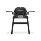 Weber Q1200N With Stand ZA - 1501140
