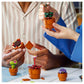 Lego Icons Botanicals Tiny Plants 10329 Building Blocks Toy Set