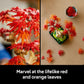 Lego Botanicals Japanese Red Maple Bonsai Tree Plant Decor 10348