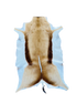 springbok hide 