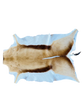 springbok hide 